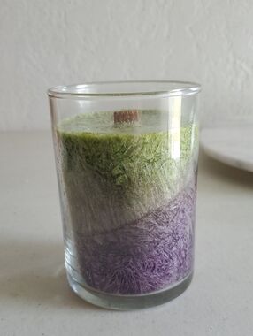 Sonoma Berry Two-Tone Textured Palm Candle Wood Wick 50 Hours Home Interiors NEW